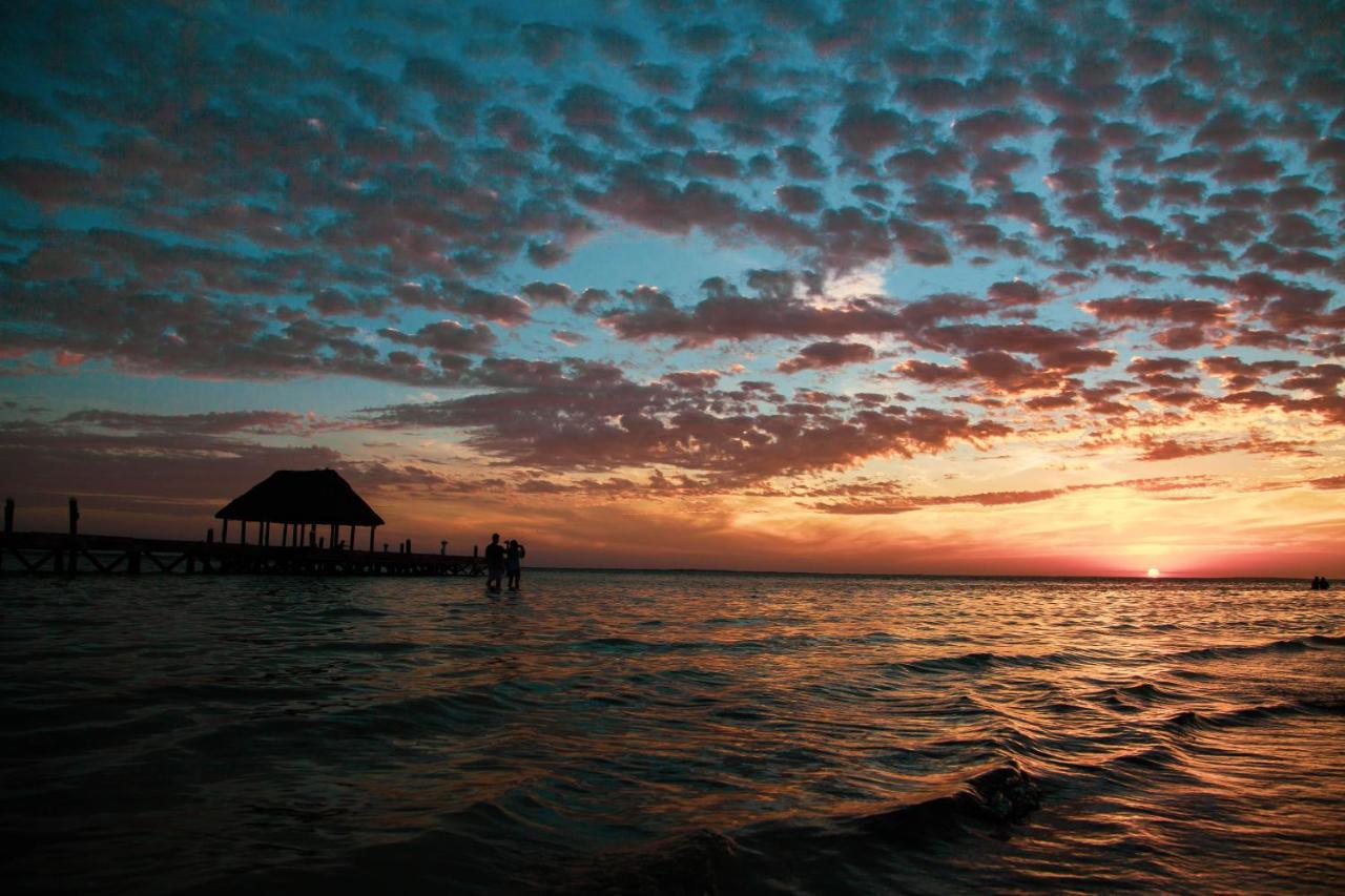 Che Holbox Hostel & Bar Adults Only Luaran gambar